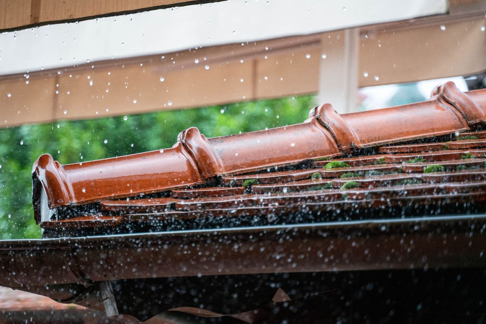 Gutter Guard work in Raleigh, NC